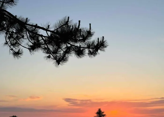 Hyggeligt Med Havudsigt